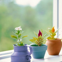 qq静态头像唯美小清新:QQ空间收藏必备精品头像大_WWW.TQQA.COM