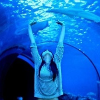 给你一个怀抱:做你一生守护_WWW.TQQA.COM