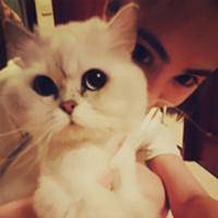 抱着猫咪的女生头像:可爱妹子万人疼_WWW.TQQA.COM