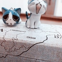 唯美自然清晰卡通静物系QQ头像_WWW.TQQA.COM