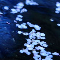 幸福的人是你:唯美清新静态头像:我是你的小太阳_WWW.TQQA.COM