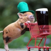 可爱喵星人+汪星人头像:可爱猫咪头像大全送给萌_WWW.TQQA.COM