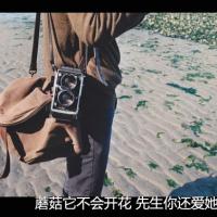 用命去珍惜Ta:个性QQ头像带字的:带伤感的文字_WWW.TQQA.COM