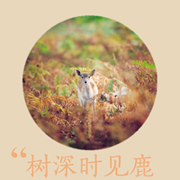 意境文字头像:越是没有人爱:就越要爱自己_WWW.TQQA.COM