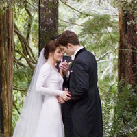 幸福婚礼情侣头像一对/双人_WWW.TQQA.COM