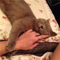 抱着猫咪的女生头像:可爱妹子万人疼_WWW.TQQA.COM