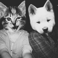 好基友肿么了？:欧美好基友头像:接吻不只是女生_WWW.TQQA.COM