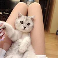 抱着猫咪的女生头像:可爱妹子万人疼_WWW.TQQA.COM