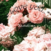 幸福的人是你:唯美清新静态头像:我是你的小太阳_WWW.TQQA.COM