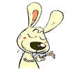 兔匪匪表情头像_WWW.TQQA.COM