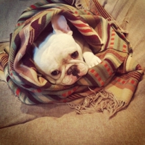 萌翻了的头像:可爱小孩萌图QQ头像_WWW.TQQA.COM