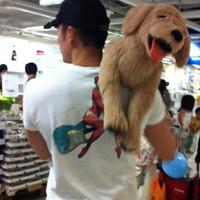 抱狗狗的情侣头像:爱在一起相依为命_WWW.TQQA.COM