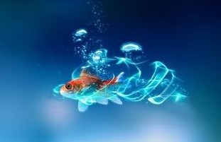 很长很个性的QQ昵称_WWW.TQQA.COM
