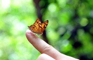 最独特的网名_WWW.TQQA.COM