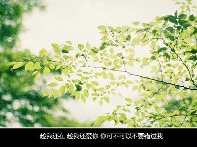 有什么好的网名,为你推荐最好的网名_WWW.TQQA.COM