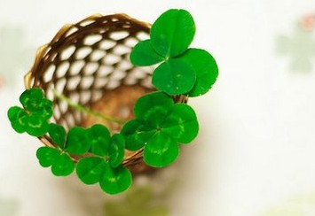 最搞笑的wifi名字大全_WWW.TQQA.COM