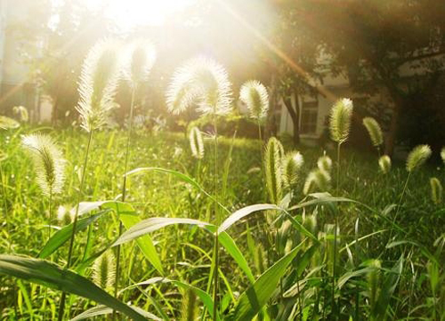 唯美英文说说大全_WWW.TQQA.COM