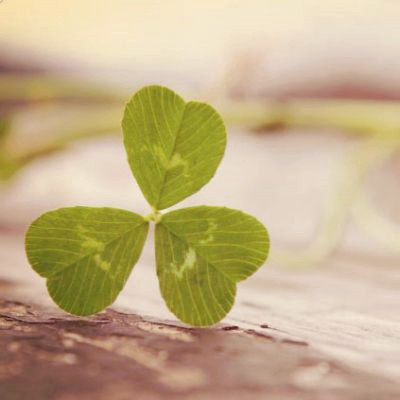 微信头像图片大全清新_WWW.TQQA.COM