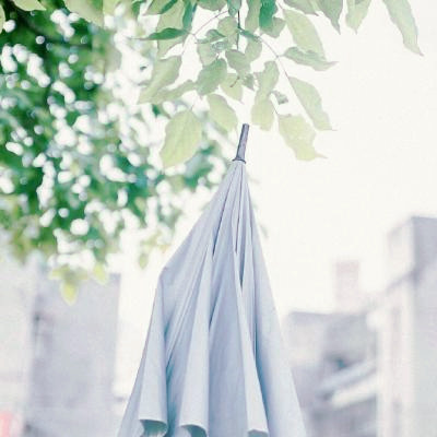 微信头像图片大全清新_WWW.TQQA.COM