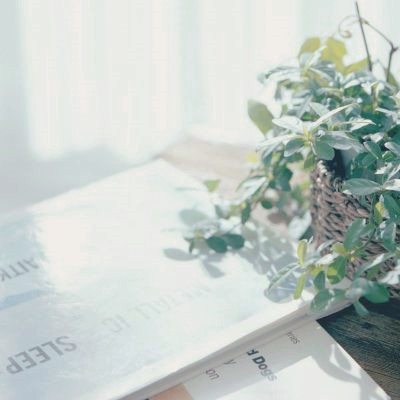 微信头像图片大全清新_WWW.TQQA.COM