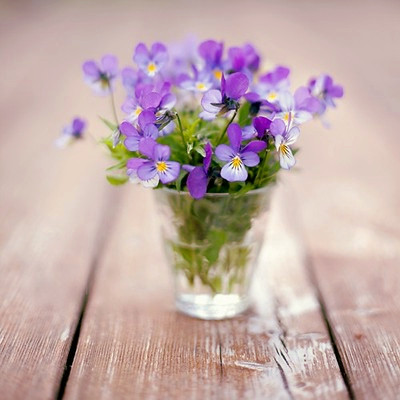 微信头像图片大全清新_WWW.TQQA.COM