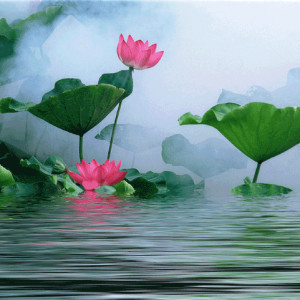 禅意头像图片大全_WWW.TQQA.COM