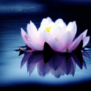 禅意头像图片大全_WWW.TQQA.COM