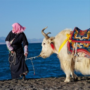 禅意头像图片大全_WWW.TQQA.COM