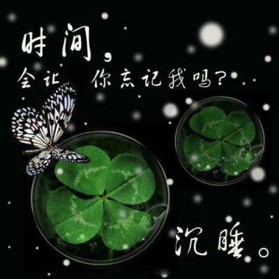 四叶草头像唯美清纯_WWW.TQQA.COM