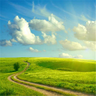 能带来财运的微信头像_WWW.TQQA.COM