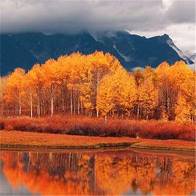 能带来财运的微信头像_WWW.TQQA.COM