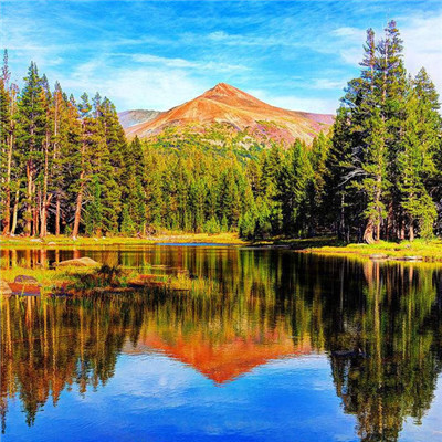 能带来财运的微信头像_WWW.TQQA.COM