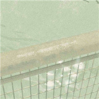 清新美好绿色头像_WWW.TQQA.COM