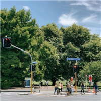 清新美好绿色头像_WWW.TQQA.COM