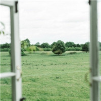 清新美好绿色头像_WWW.TQQA.COM