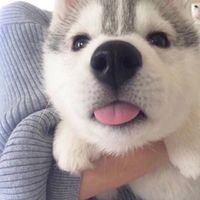 好看图片头像可爱_WWW.TQQA.COM