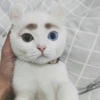 好看图片头像可爱_WWW.TQQA.COM