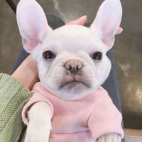 好看图片头像可爱_WWW.TQQA.COM