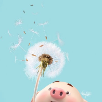 超萌小猪头像图片大全_WWW.TQQA.COM