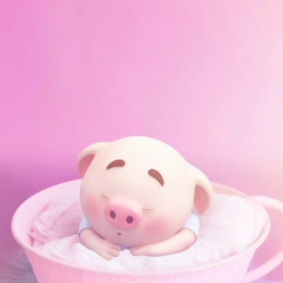 超萌小猪头像图片大全_WWW.TQQA.COM