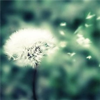 伤感凄凉风景头像图片大全_WWW.TQQA.COM
