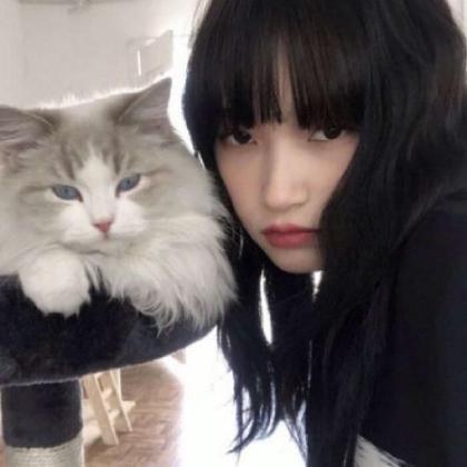 女生抱着猫很酷的头像高清真人2020最新_WWW.TQQA.COM