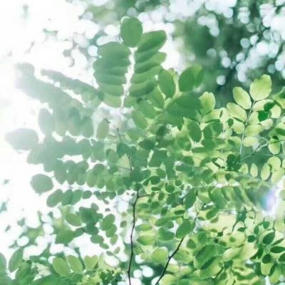 微信唯美暖心风景头像高清大全_WWW.TQQA.COM