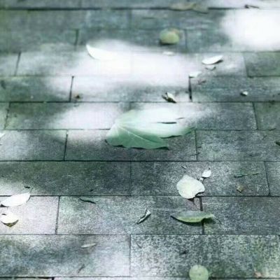 微信唯美暖心风景头像高清大全_WWW.TQQA.COM