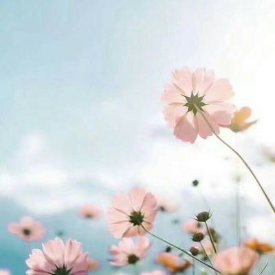 微信唯美暖心风景头像高清大全_WWW.TQQA.COM