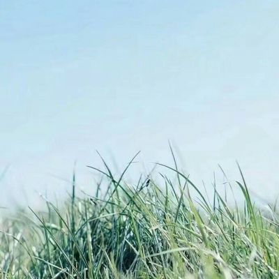 微信唯美暖心风景头像高清大全_WWW.TQQA.COM