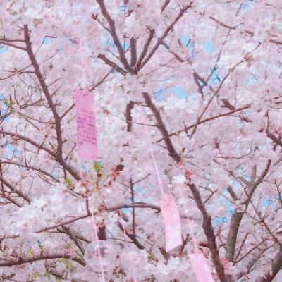 微信唯美暖心风景头像高清大全_WWW.TQQA.COM