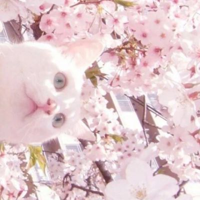 微信唯美暖心风景头像高清大全_WWW.TQQA.COM