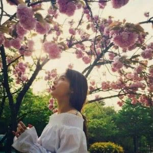 微信头像女生简单大方风景_WWW.TQQA.COM