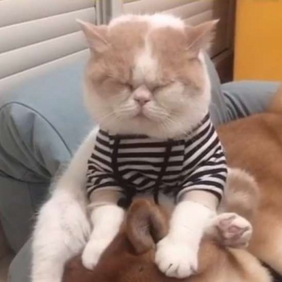 猫和狗的情侣头像_WWW.TQQA.COM